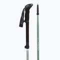 Žygio lazdos LEKI Makalu FX TA silver/greygreen/white 3