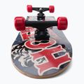 Playlife Hotrod spalvota vaikiška klasikinė riedlentė 880325 5