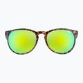 Akiniai nuo saulės UVEX Lgl 43 havanna black/mirror green 2