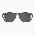 Akiniai nuo saulės UVEX Lgl 43 havanna black/mirror green 3