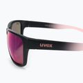 UVEX akiniai nuo saulės Lgl 36 CV black mat rose/colorvision mirror plasma S5320172398 4