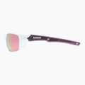UVEX Sportstyle 232 P dviratininkų akiniai peacock prestige mat/polavision mirror pink S5330028330 6