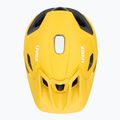 Dviračio šalmas UVEX Quatro Integrale sunbee/black 6