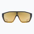 Akiniai nuo saulės UVEX Mtn Style CV havanna matt fade/mirror champagne 2