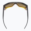 Akiniai nuo saulės UVEX Mtn Style CV havanna matt fade/mirror champagne 4