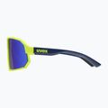 Akiniai nuo saulės UVEX Sportstyle 237 yellow blue matt/mirror blue 4