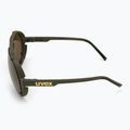 Akiniai nuo saulės UVEX Esntl Pina moss green matt/mirror gold 4