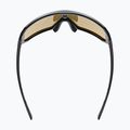 Akiniai nuo saulės UVEX Sportstyle 237 CV black matt/mirror blue 4