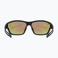 Akiniai nuo saulės UVEX Sportstyle 806 black matt/mirror blue 3
