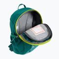 Deuter Pico 5 l vaikiška turistinė kuprinė žalia 361002132390 4