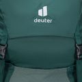 Moteriška turistinė kuprinė deuter Futura SL 30 l green 340072122830 5