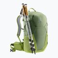 Turistinė kuprinė deuter Futura 27 l khaki/meadow 6