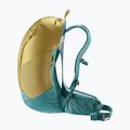Deuter AC Lite 23 l turistinė kuprinė 342032163270 clay/deepsea 5