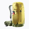 Deuter AC Lite 24 l turistinė kuprinė 342082182080 turmeric/khaki 7