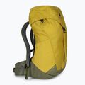 Deuter AC Lite 30 l turistinė kuprinė 342102182080 turmeric/khaki 2