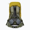 Deuter AC Lite 30 l turistinė kuprinė 342102182080 turmeric/khaki 3