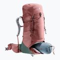 Moteriška turistinė kuprinė deuter Aircontact Lite 35 + 10 SL brown 334002352150 8