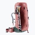 Moteriška turistinė kuprinė deuter Aircontact Lite 45 + 10 SL 55 l 334022352150 caspia/ivy 7