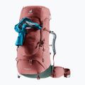 Moteriška turistinė kuprinė deuter Aircontact Lite 45 + 10 SL 55 l 334022352150 caspia/ivy 8