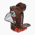 Deuter Freescape Pro 40+ l parašiutininko kuprinė 330032269020 umbra/papaya 4