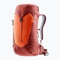 Turistinė kuprinė deuter AC Lite 16 l paprika/redwood 3