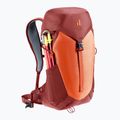 Turistinė kuprinė deuter AC Lite 16 l paprika/redwood 10