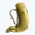 Moteriška turistinė kuprinė deuter AC Lite 22 l SL sprout/linden 3