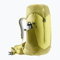 Moteriška turistinė kuprinė deuter AC Lite 22 l SL sprout/linden 5