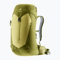 Turistinis kuprinė deuter AC Lite 24 l linden/cactus 4