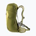 Turistinis kuprinė deuter AC Lite 24 l linden/cactus 5