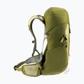 Turistinis kuprinė deuter AC Lite 24 l linden/cactus 6