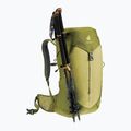 Turistinis kuprinė deuter AC Lite 24 l linden/cactus 9