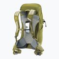 Turistinis kuprinė deuter AC Lite 24 l linden/cactus 13