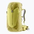 Moteriška turistinė kuprinė deuter AC Lite 28 l SL sprout/linden 2