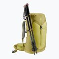 Moteriška turistinė kuprinė deuter AC Lite 28 l SL sprout/linden 10