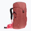 Vaikiška turistinė kuprinė deuter Climber 22 l redwood/hibiscus 2