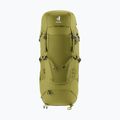 Trekkingo kuprinė deuter Aircontact Core 40 + 10 l kaktusas/žaluma