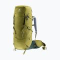 Trekkingo kuprinė deuter Aircontact Core 40 + 10 l kaktusas/žaluma 5