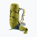 Trekkingo kuprinė deuter Aircontact Core 40 + 10 l kaktusas/žaluma 7
