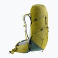 Deuter Aircontact Core 50+10 l cactus/ivy trekingo kuprinė 3