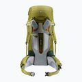 Deuter Aircontact Core 50+10 l cactus/ivy trekingo kuprinė 4