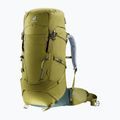 Deuter Aircontact Core 50+10 l cactus/ivy trekingo kuprinė 6