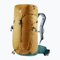 Turistinė kuprinė deuter Trail 24 l almond/deepsea 2