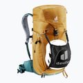 Turistinė kuprinė deuter Trail 24 l almond/deepsea 8