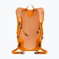 Turistinis kuprinė deuter Speed Lite 21 l persikų/spalvotas kaip Toskana 3