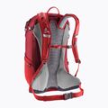 Turistinė kuprinė deuter Futura 23 l masala-cherry 13