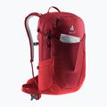 Turistinė kuprinė deuter Futura 23 l masala-cherry 14
