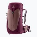 Moteriška turistinė kuprinė deuter AC Lite 22 l SL ashrose-cassis