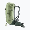 Turistinė kuprinė deuter Trail 30 l grove-ivy 4