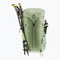 Turistinė kuprinė deuter Trail 30 l grove-ivy 5